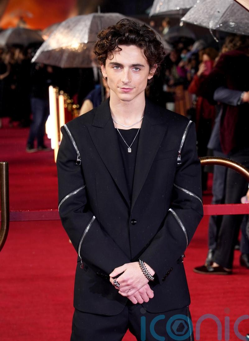 Timothee Chalamet’s Old Vic debut cancelled after pandemic delays