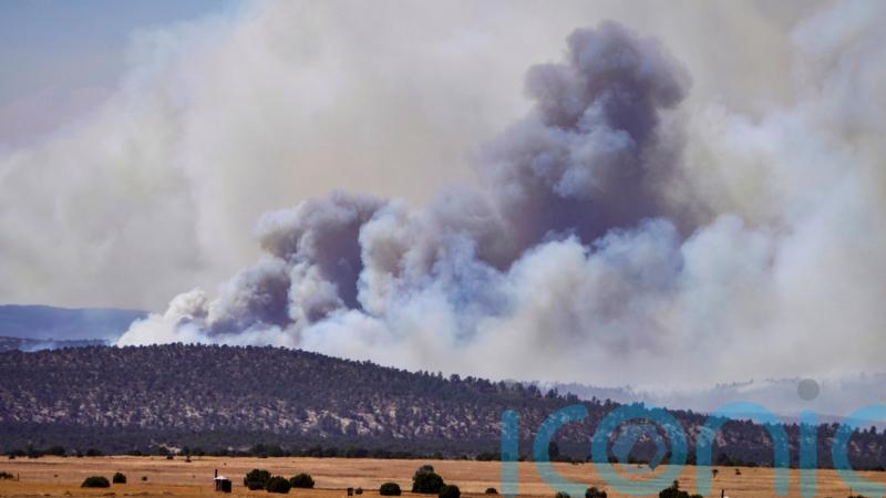 Joe Biden declares disaster in New Mexico wildfire zone