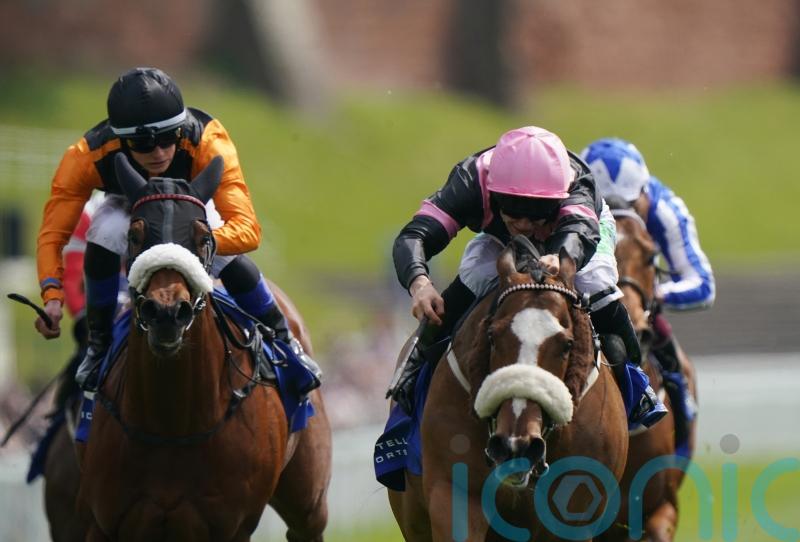 Look Out Louis hangs on for Chester triumph