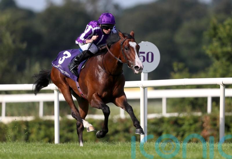 O’Brien dominates Dante possibles with four-strong squad