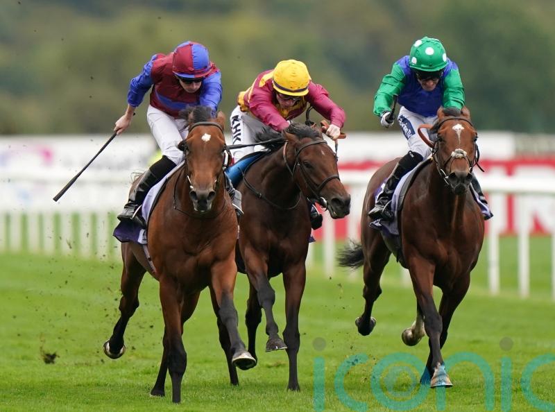 Derby favourite Luxembourg meets with setback