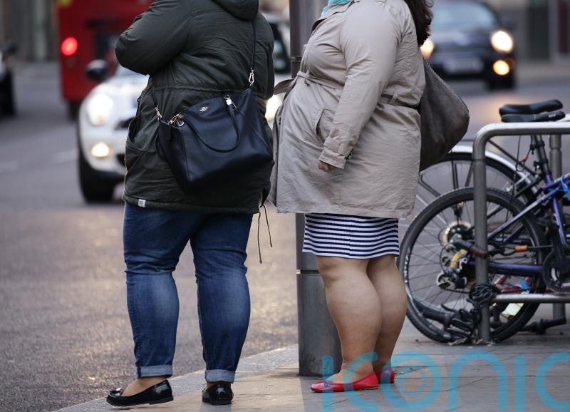 Only a minority of obese people referred to clubs like Slimming World – study