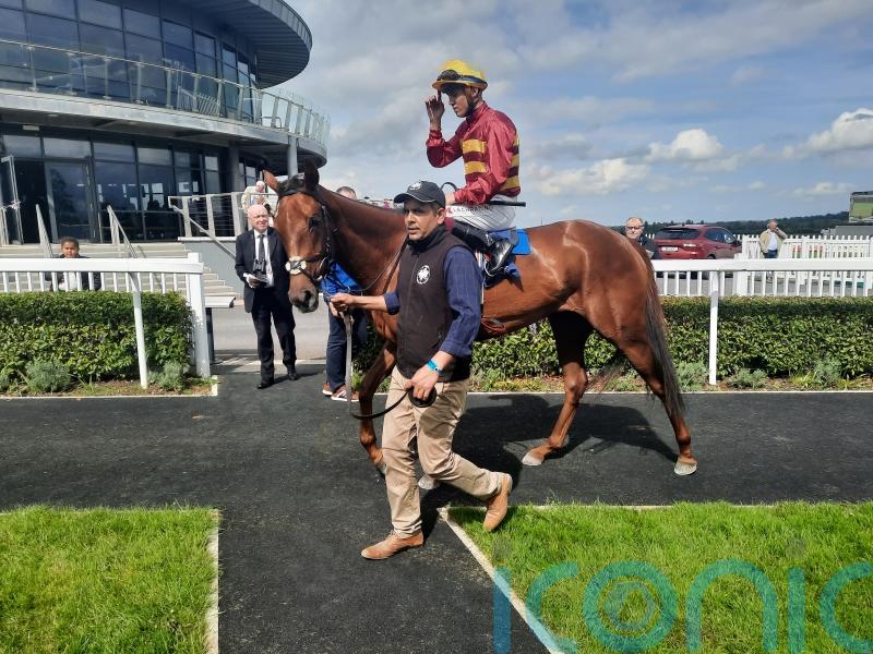 Tranquil Lady enters Oaks picture with taking Naas performance