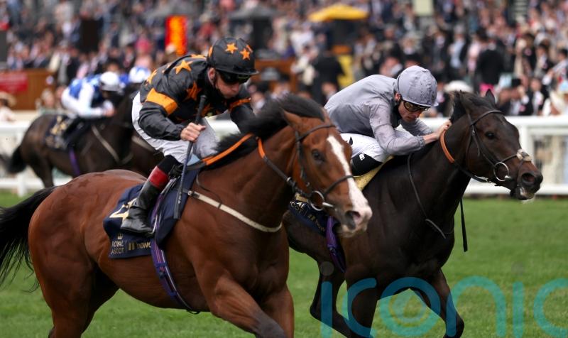 Evans hoping Rohaan can sparkle again at York