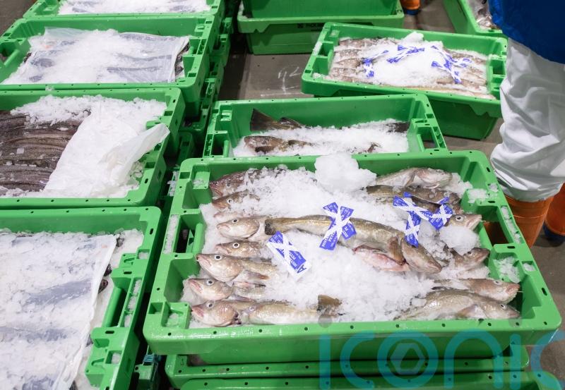 Scotland punching above its weight on food and drink export – report