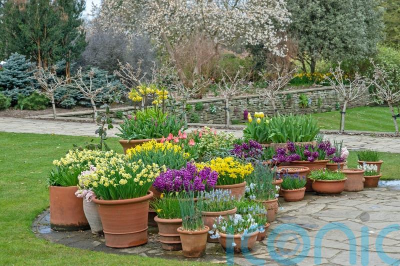 Confused by all the plant pot choices? Here’s how to pick the best containers for your garden
