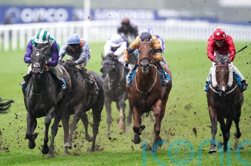 Fellowes mounts dual assault on Duke Of York prize
