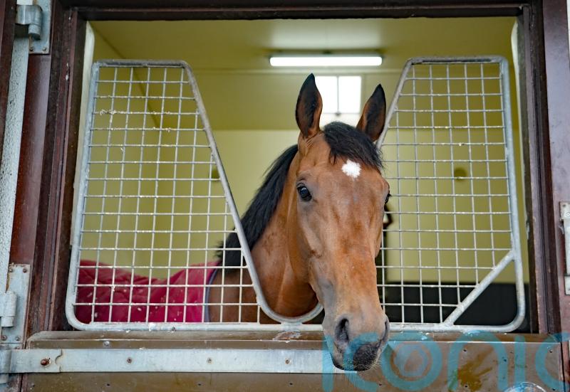 O’Brien confident Luxembourg can make his mark despite Derby absence