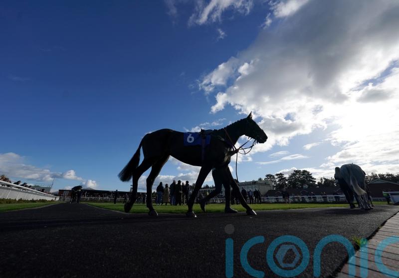 Racing Welfare launches Mental Health Awareness Week campaign