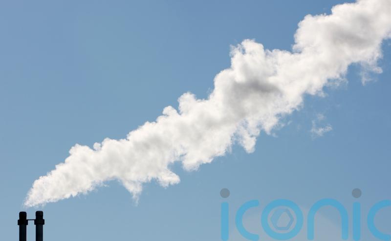 Place cap on use of incineration in waste disposal, expert says