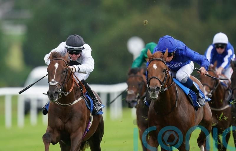 French Derby a possible option for Dee Stakes second Cresta