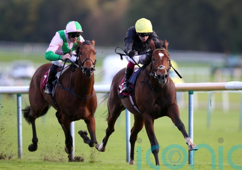 Gosden eager to assess Magisterial potential in Dante outing