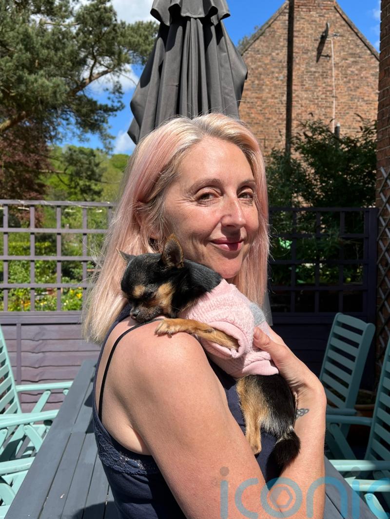 Pageant winning chihuahua’s runway career is in jeopardy after she broke her leg hopping off a step leaving her owners to raise £2.7k to fix it