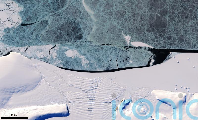 Some Antarctic ice shelves grew in area over the last 20 years – study