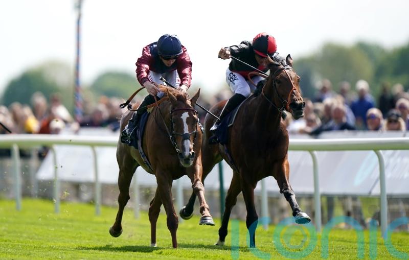 Lilac Road delivered to perfection for Middleton honours