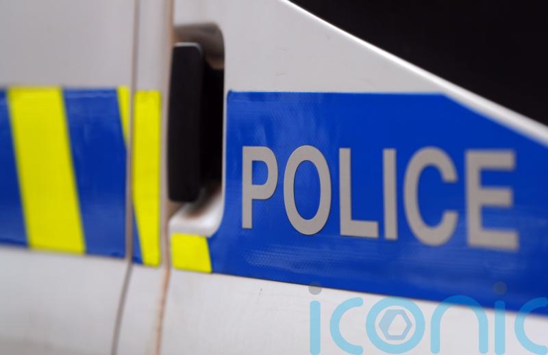 New footage surfaces of incident where boy, 12,  ‘hit by woman with paddle’