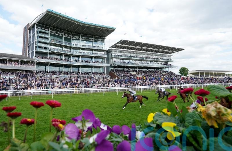 Buke predicts big future for ‘proper horse’ Last Crusader