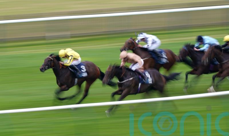 Smart fillies set to do battle on the Knavesmire