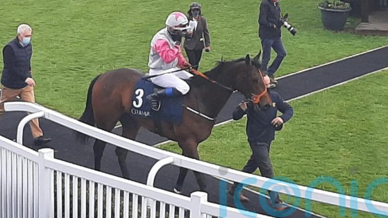 Hermana Estrella waits for Irish 1,000 Guineas