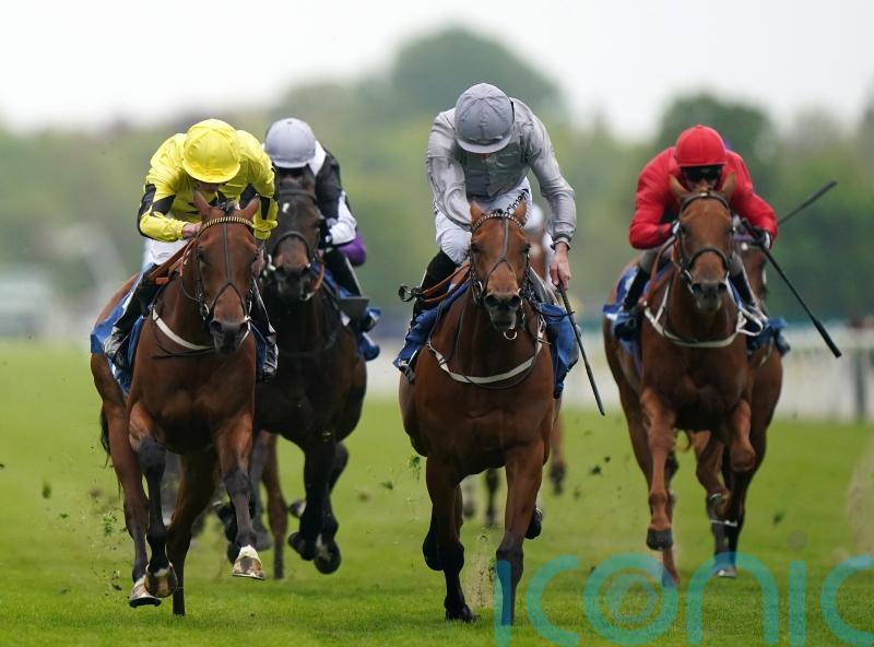 Pillow Talk bursts into Royal Ascot picture