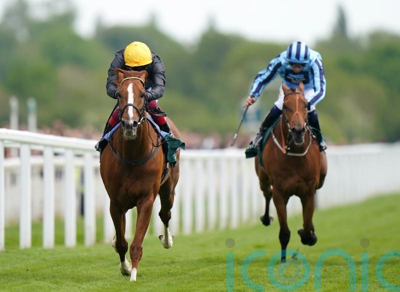 Stradivarius back to winning ways in Yorkshire Cup
