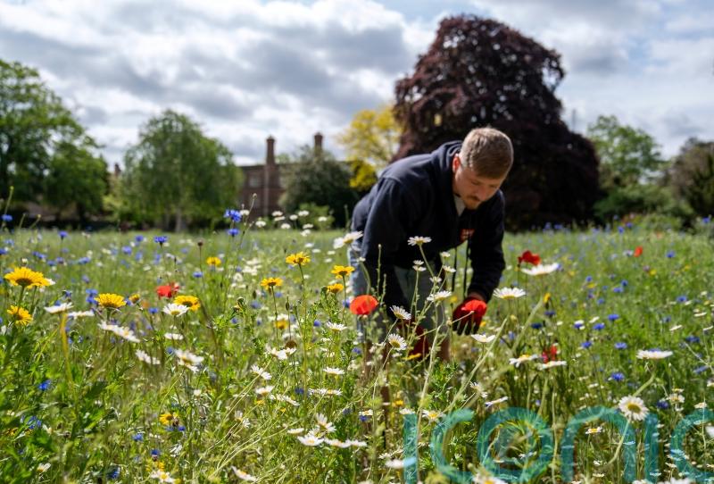Britain set for summer temperatures over weekend before rain takes over