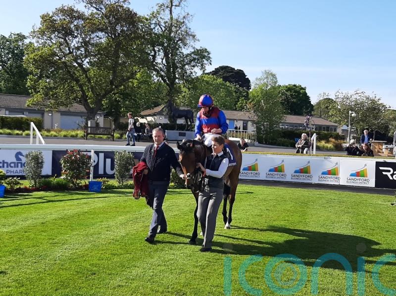 Alfred Munnings posts exciting debut at Leopardstown