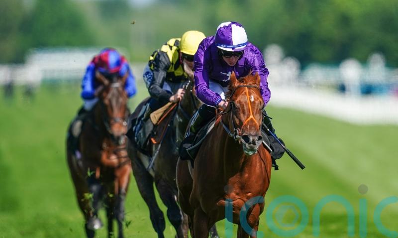Persian Force books Coventry spot with power-packed Newbury win