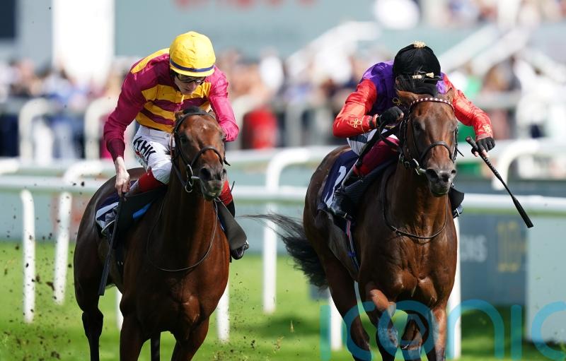 Reach For The Moon poised for Sandown comeback