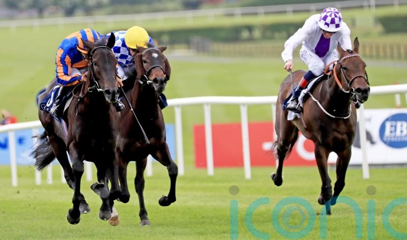 Meditate firmly in Albany Stakes picture