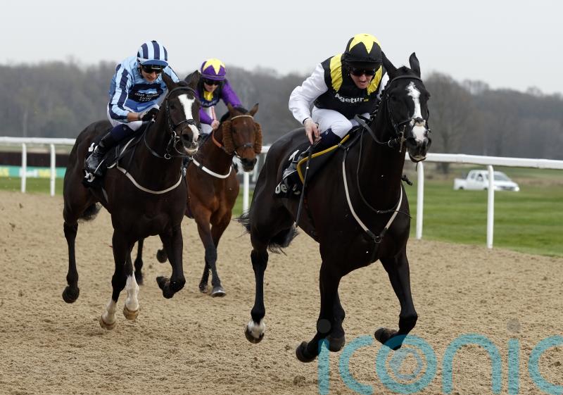 Gold run beckons for Earlofthecotswolds