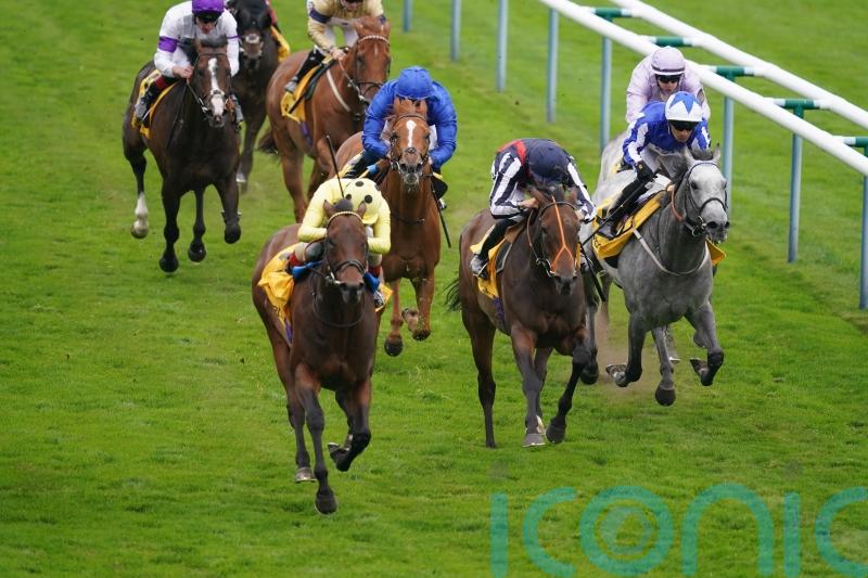 Emaraaty Ana on course for Ascot after rain scuppered prep run