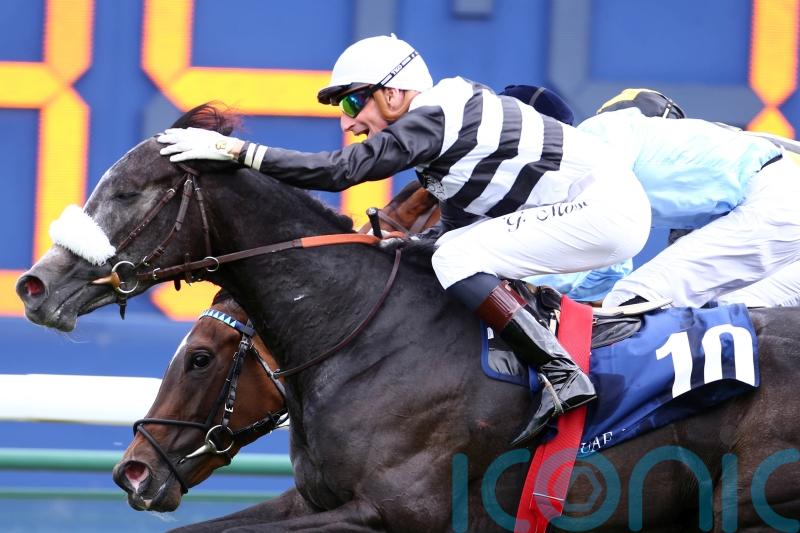 Mangoustine in the mix for Coronation Stakes test