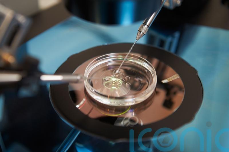 NHS patients faced bigger IVF delays during Covid than those paying privately
