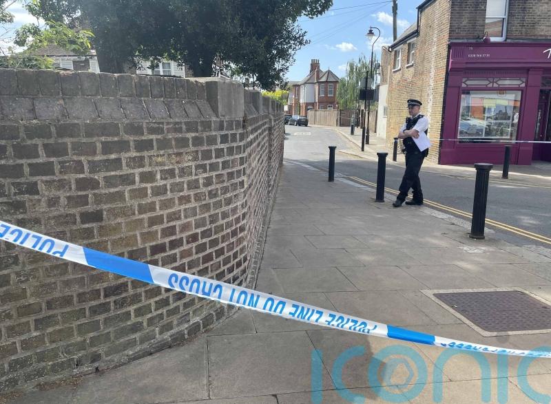 Police name 21-year-old woman stabbed to death in west London alleyway