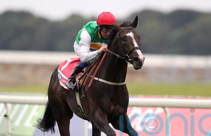 Pyledriver pleasing Muir ahead of Coronation Cup defence