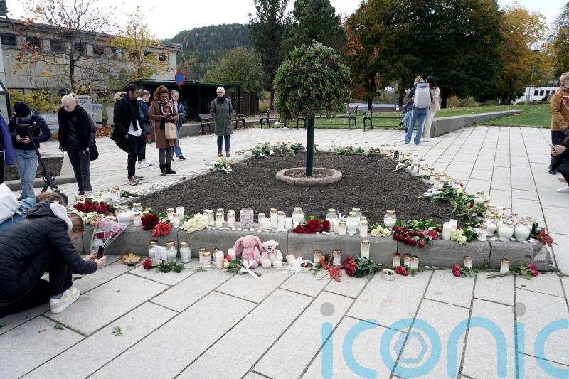 Man charged in Norway bow-and-arrow attack pleads guilty to murder