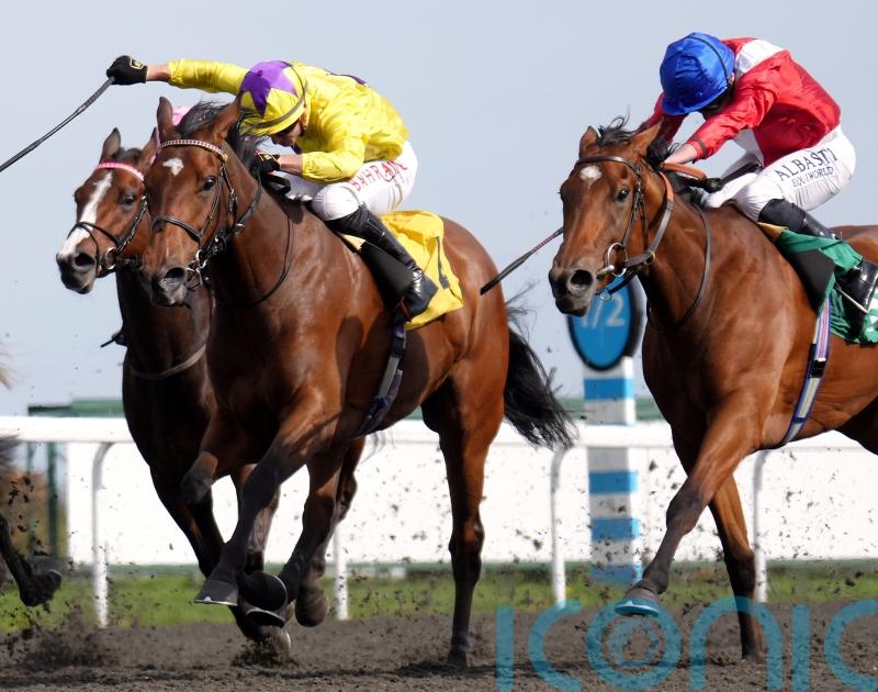 My Astra impresses Haggas with ‘startling’ Ayr verdict