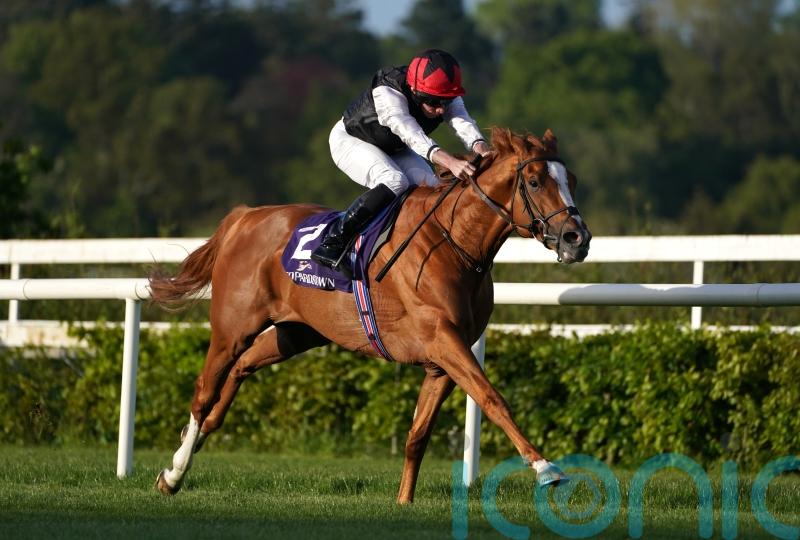 Kyprios on course for Ascot Gold run