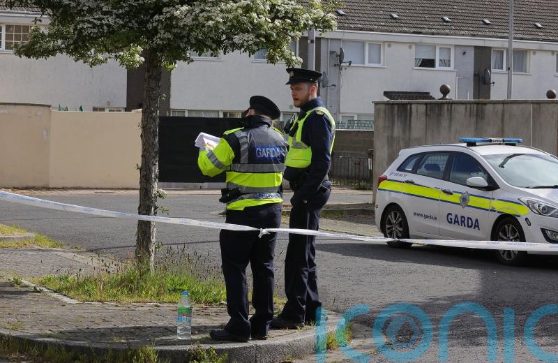 Male witness comes forward to aid Garda murder investigation