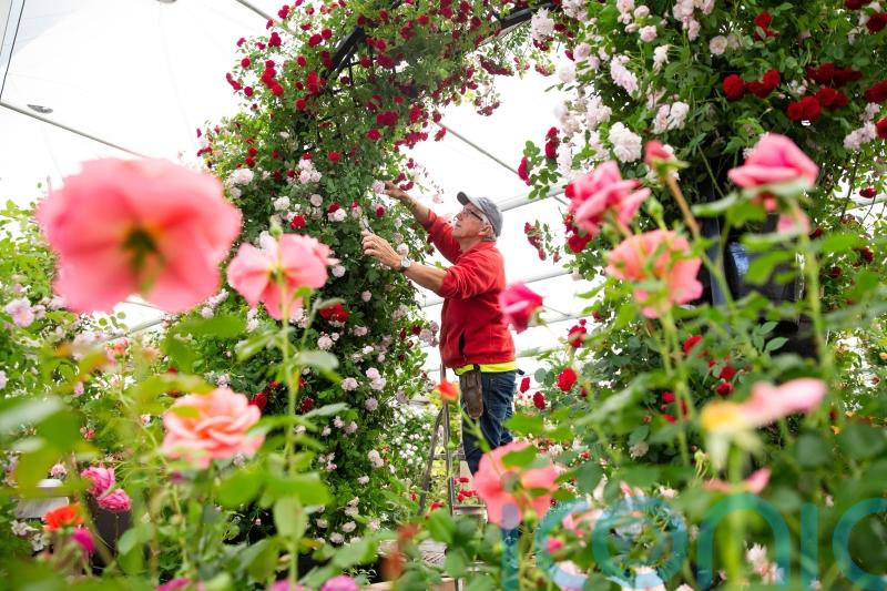 What not to miss at this year’s Chelsea Flower Show