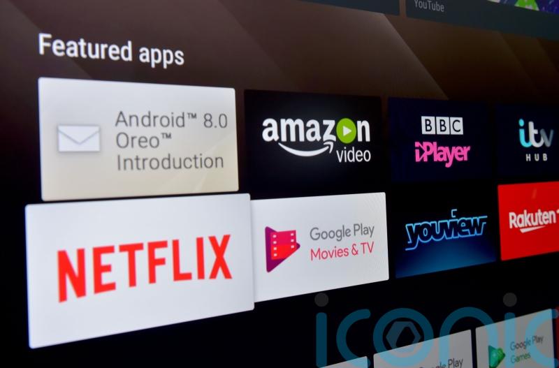 Nadine Dorries admits sharing her Netflix account with other households