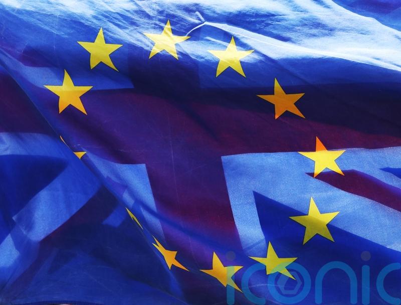 ‘Action calls for reaction’ EU ambassador warns UK over Brexit protocol row