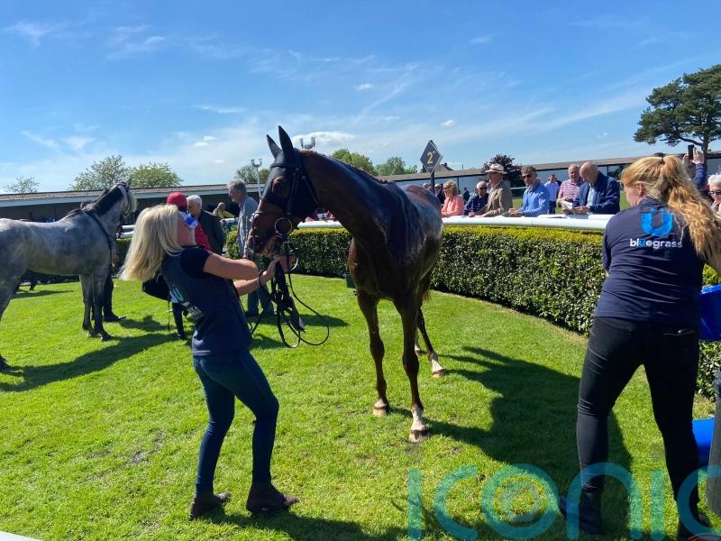 Ask Paddington has the answers at Market Rasen