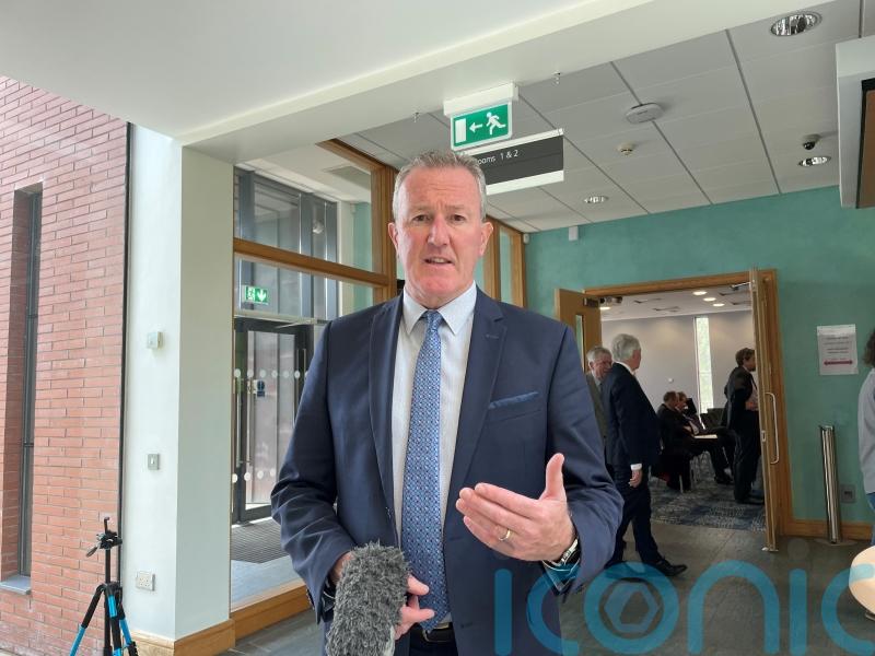 Form Executive and Assembly while NI Protocol issues are being resolved: Murphy