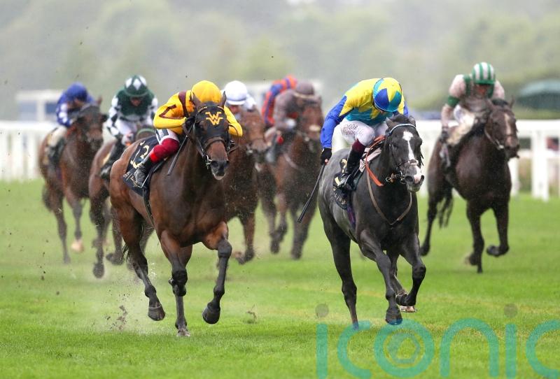 Varian considering Haydock option for Dragon Symbol