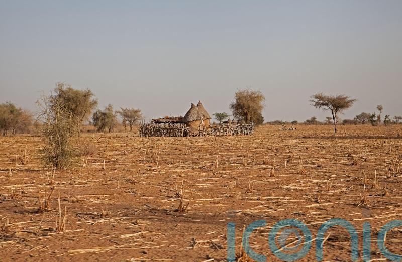UN warns of 18 million facing severe hunger in region of Africa