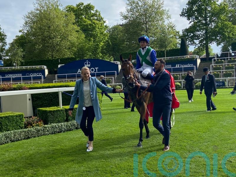 Vafortino team have Royal Ascot options