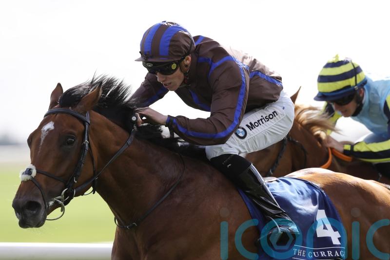 Hannibal Barca swoops for Gallinule glory at the Curragh