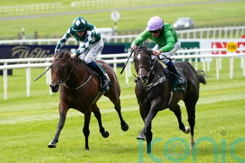 Brad The Brief outbattles Mooniesta in Greenlands thriller